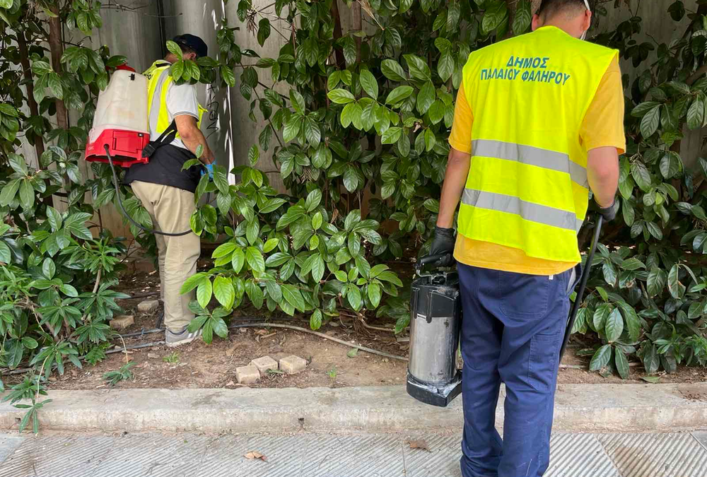 Ιός του Δυτικού Νείλου: Ενισχύονται τα μέτρα καταπολέμησης των κουνουπιών στο Παλαιό Φάληρο