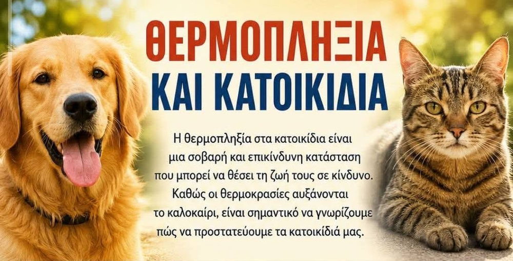 Προστατεύουμε τα κατοικίδια και τα αδέσποτα ζώα από τον καύσωνα