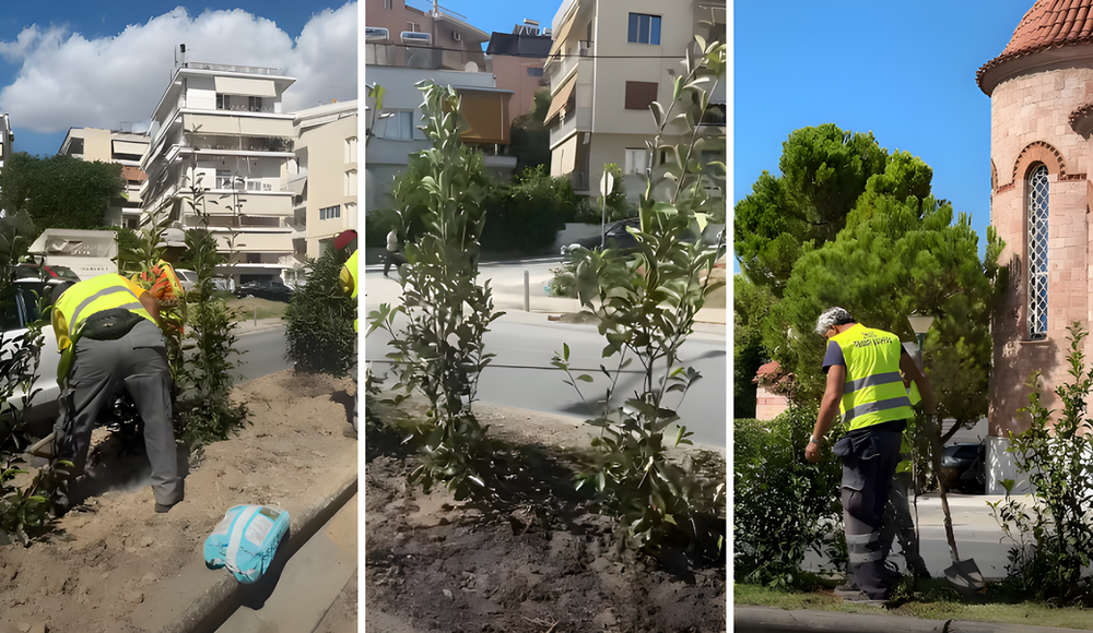 350 δεντροφυτεύσεις στη Λεωφόρο Αμφιθέας